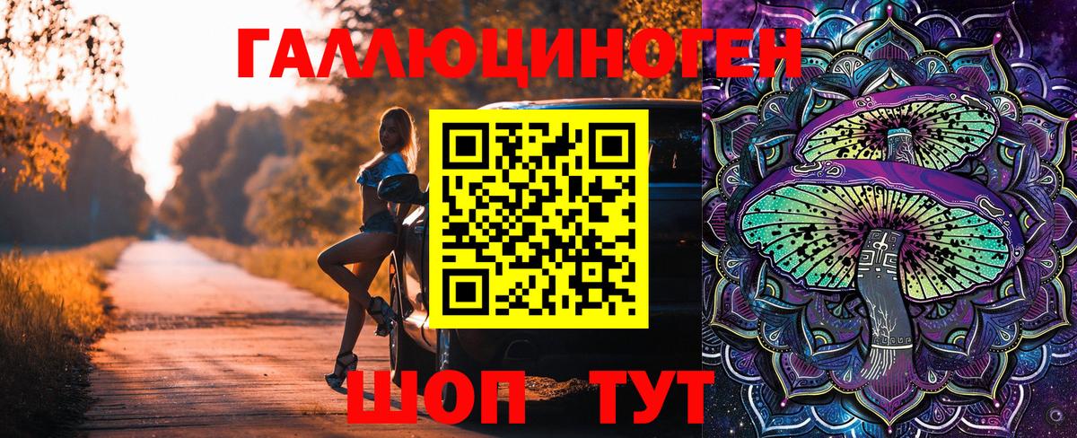 Псилоцибиновые грибы Psilocybe Тимашёвск