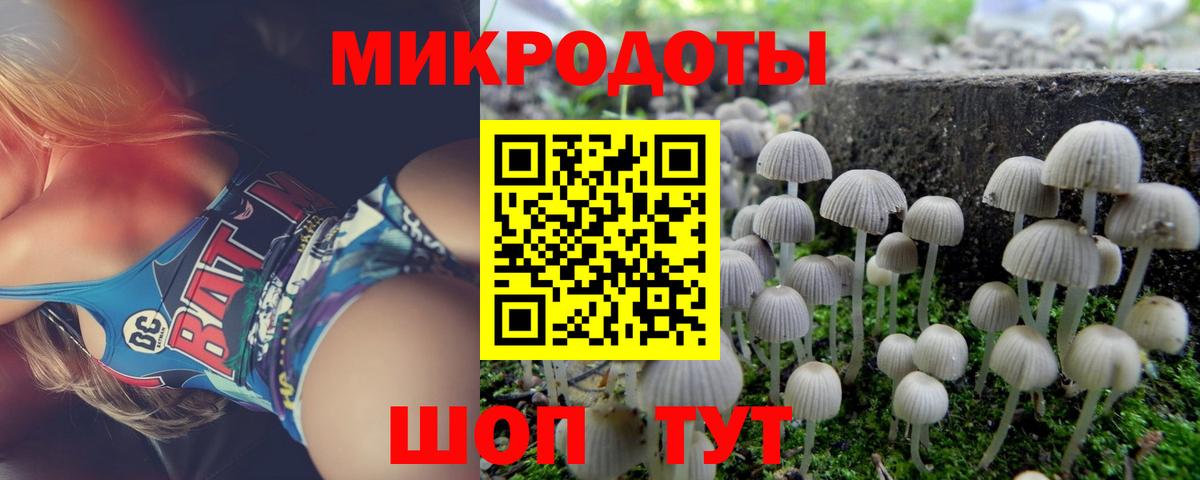 где купить наркотик  Псилоцибиновые грибы прущие грибы  Вход с VPN  Тимашёвск 